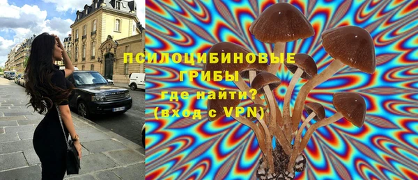 гашиш Белокуриха