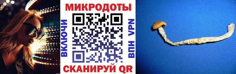 Галлюциногенные грибы мицелий  Кропоткин 